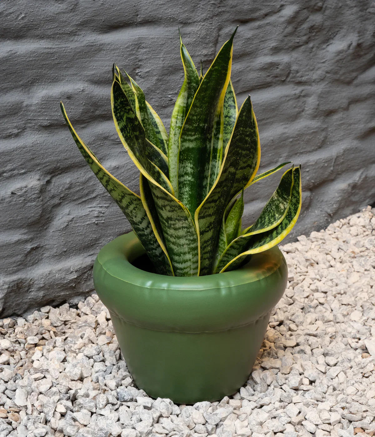 Home Studyo 03 Planter Pierre 'Moss' - Image 3
